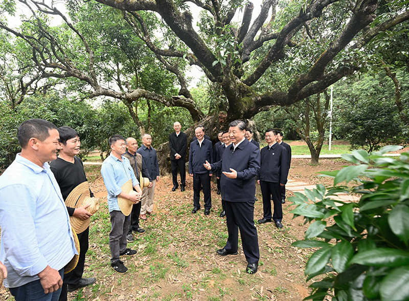 1-231014091S6260 OG东方厅·(中国集团)官方网站