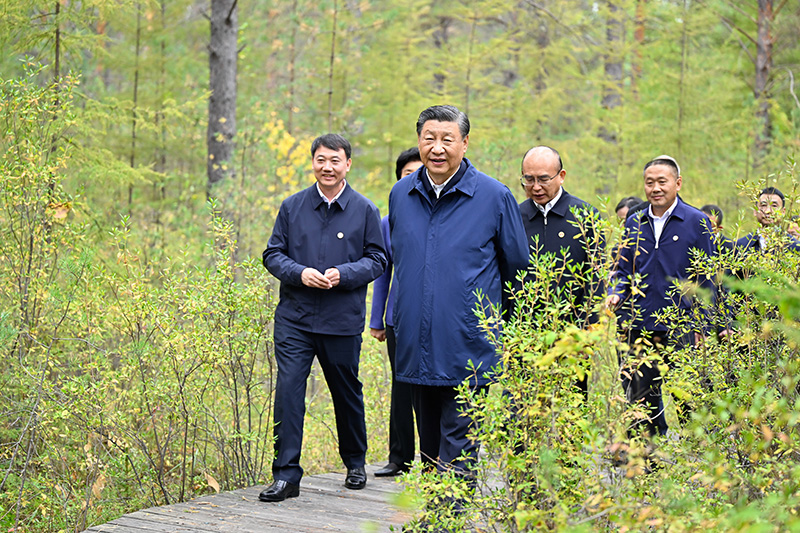 9月6日至8日，中共中央总书记、国度主席、中央军委主席习近平在黑龙江调查。这是6日下午，习近平在大兴安岭地域漠河市漠河林场天然林区调查